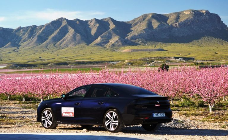 Peugeot 508 GT Puretech 225 CV EAT8. 25.000 kilómetros sin inmutarse
