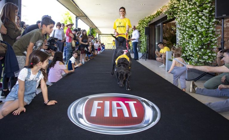 Fiat Professional impulsa con éxito el proyecto Perros felices