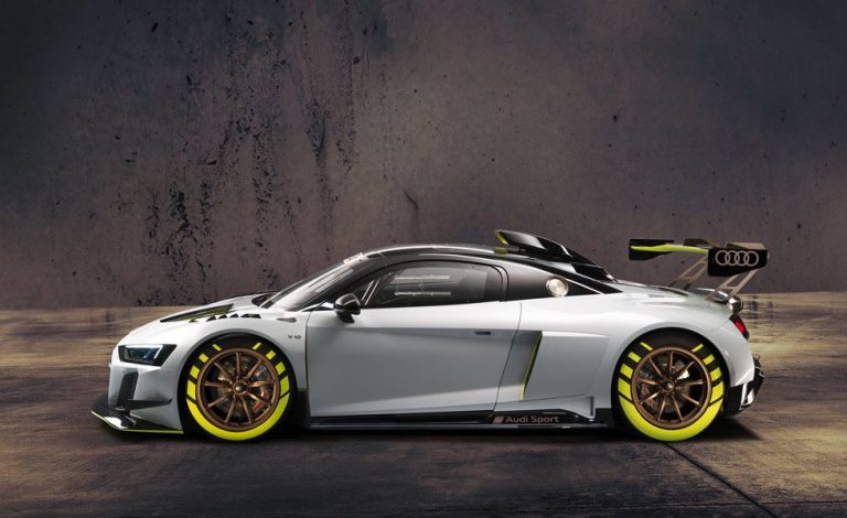 Audi R8 LMS GT2. 640 CV y 1.350 kilos