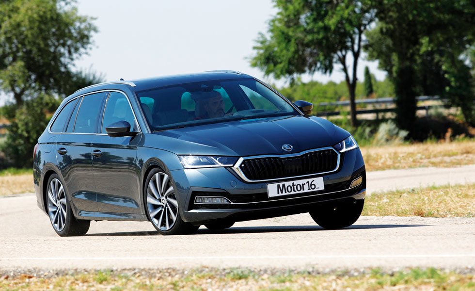 17233_mtmgRa9LiNzq4-p