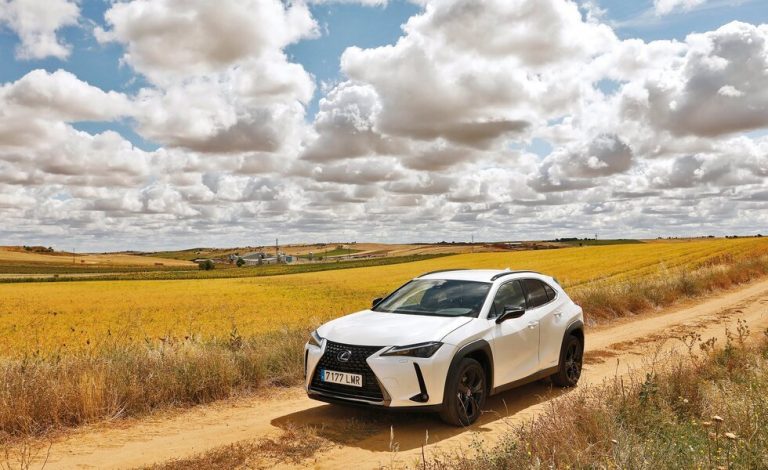 Rutas con sabor by Lexus. Garbanzo de Fuentesaúco: oro castellano