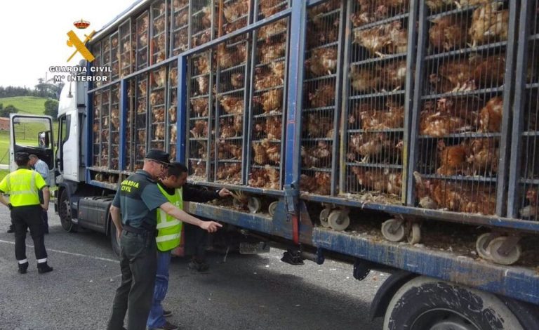 Uno de cada cuatro vehículos pesados de mercancías circula en malas condiciones