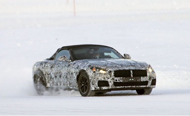 BMW Z5. Un alemán 'cazado' en Suecia