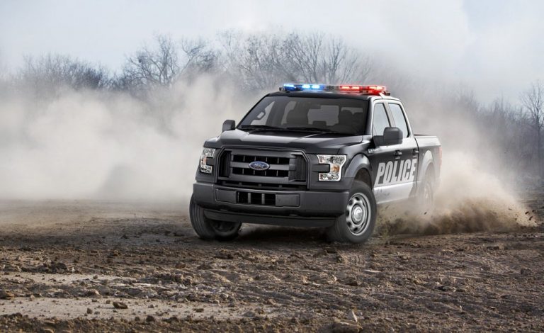 Ford F-150 Special Service. Para cualquier situación