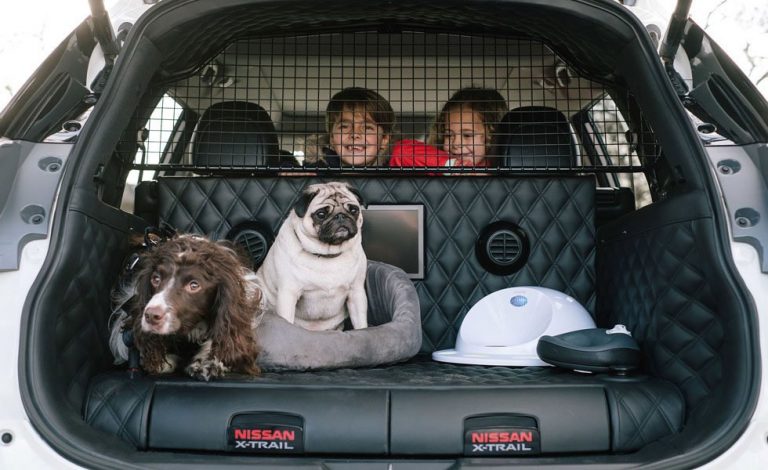 Nissan X Trail 4Dogs: ¡No sin mi mascota!
