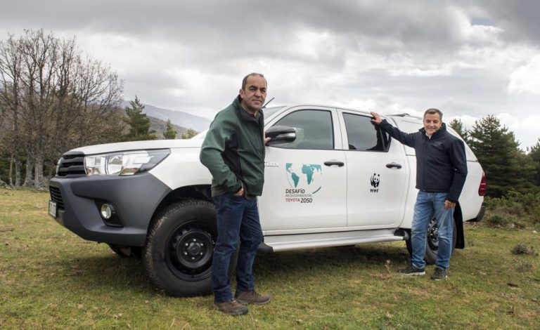 Toyota. La felicitación más ecológica