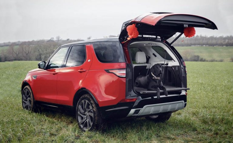 Land Rover piensa en tus mascotas