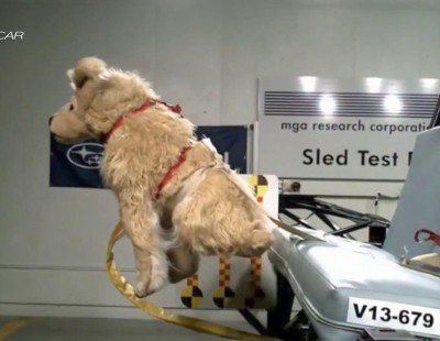 Crash test sistemas de retención para perros