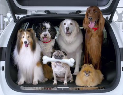 Kia Sportage, el mejor amigo del mejor amigo del hombre