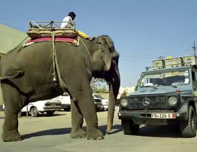 Las mejores imágenes del viaje de Gunther Holtorf