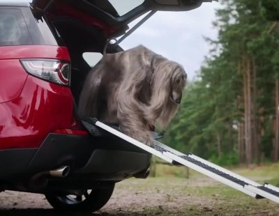 Land Rover ha creado estos accesorios para tu mejor amigo
