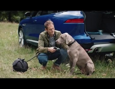 Jaguar también piensa en tus mascotas