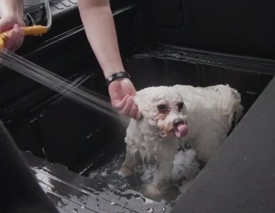 Ford Puma. Una caja de sorpresas