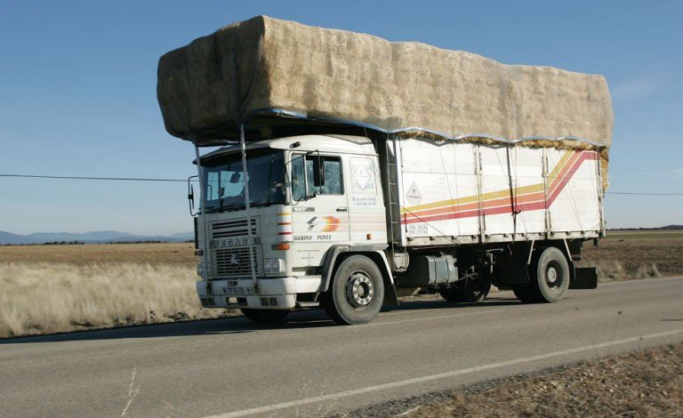 ¿Me pueden multar si se cae la carga de mi camión?