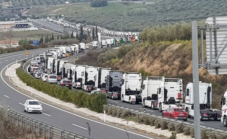 Los transportistas españoles lo tienen claro: Este es el vehículo que comprarían más del 60%