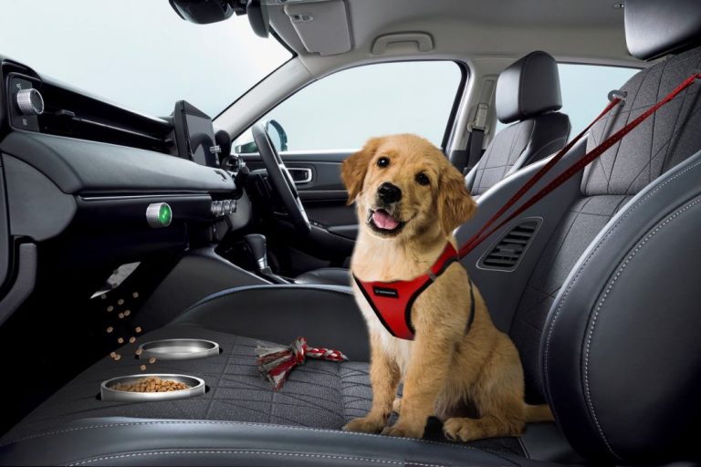 La DGT no te multará si tu perro viaja en esta silla de Honda