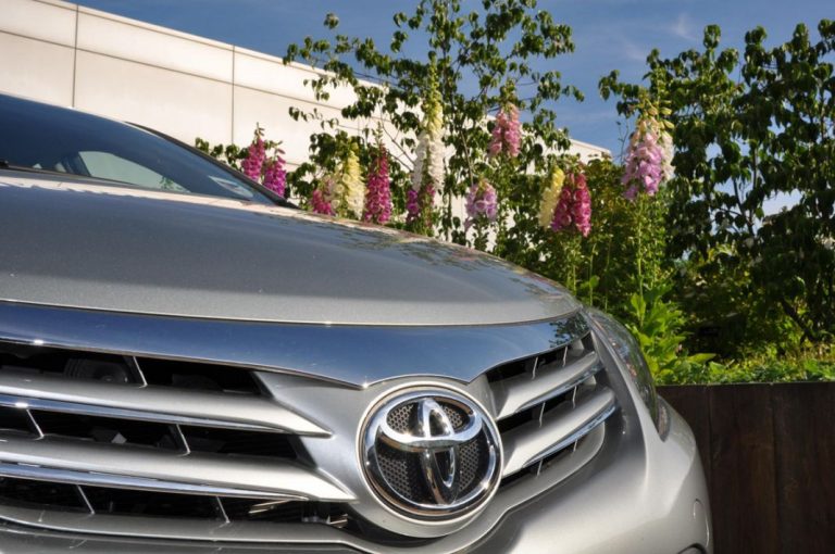 Gracias a esta plataforma, Toyota pasea a tu perro