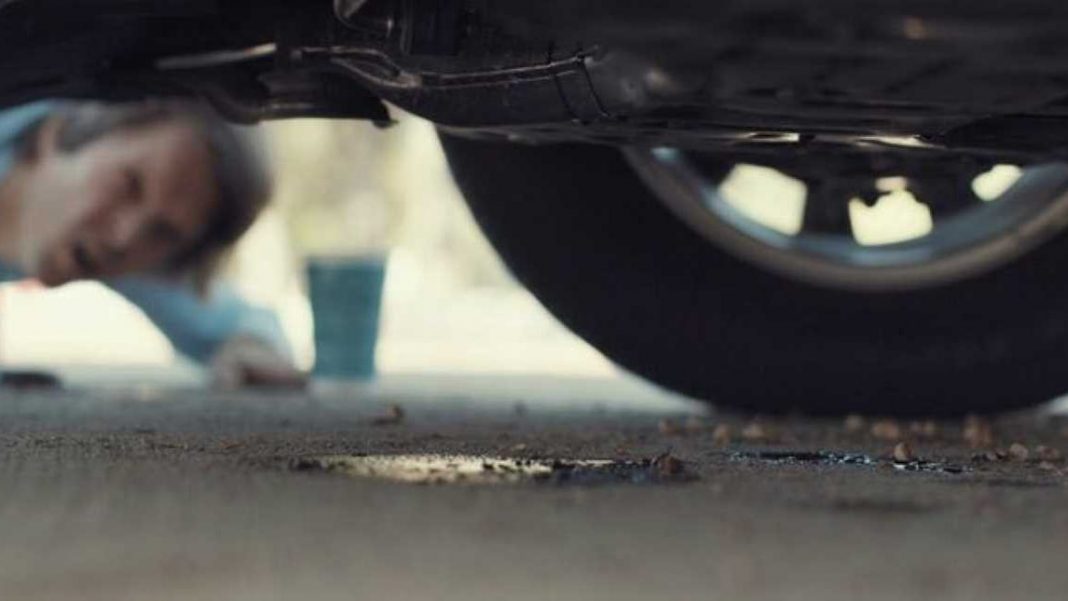 Altamente contaminante