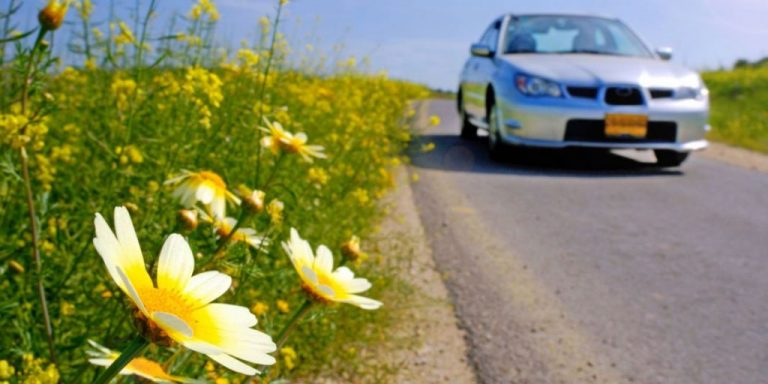 La primavera ha llegado: consejos para mejorar la visión cuando conduces
