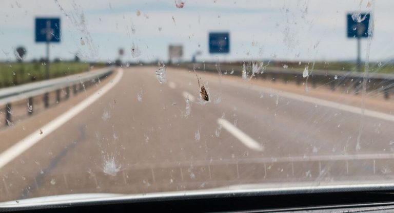 Menos de 1 euro te costará el remedio casero para eliminar los mosquitos de tu coche a la perfección