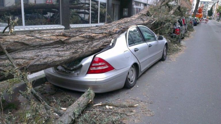 Cómo conseguir un seguro de coche más barato