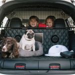 La multa de hasta 200.000 euros de la DGT por dejar el perro dentro del coche al sol