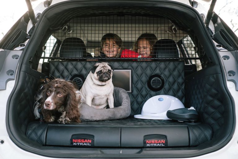 La multa de hasta 200.000 euros de la DGT por dejar el perro dentro del coche al sol
