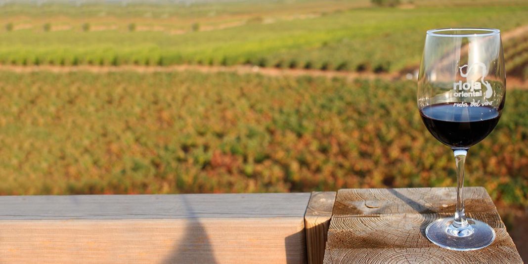 Ruta de los vinos