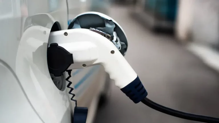 Los coches eléctricos son para la ciudad, y esta es nuestra selección especial de los siete mejores