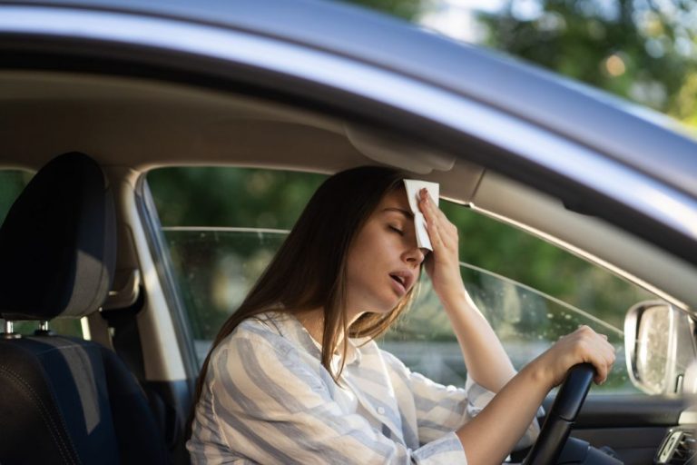 El complemento para combatir el calor en tu coche lo encuentras en Amazon, Aliexpress o Lidl por menos de 10 euros