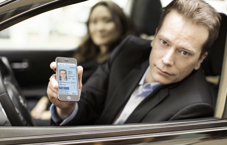 La manera más cómoda de llevar tu carnet de conducir