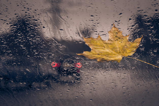 lluvia