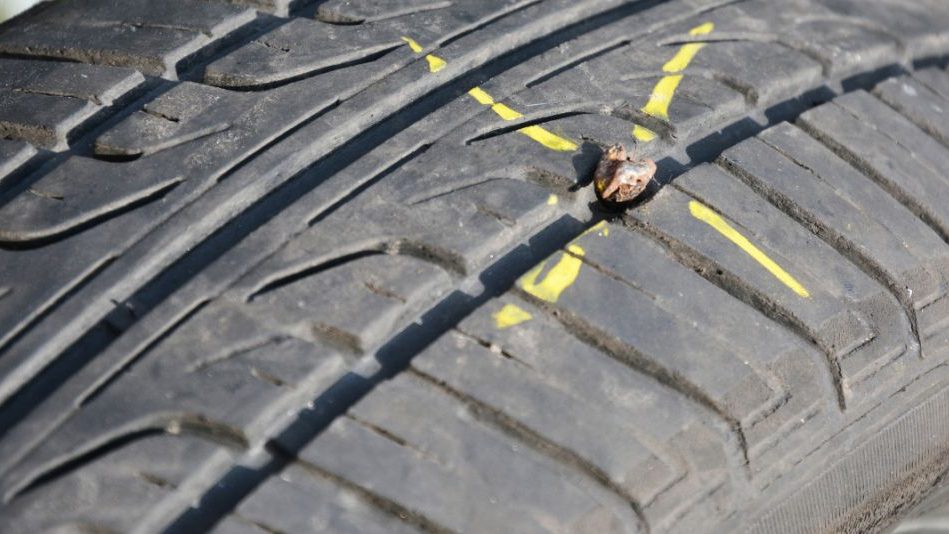 Así de sencillo es poner una rueda de repuesto si has pinchado