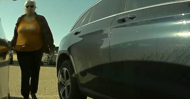Así funciona en Tesla su modo centinela. Es mejor que no huyas
