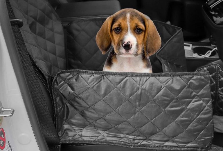 Estos asientos para perros te evitan una multa y son lo mejor para ellos