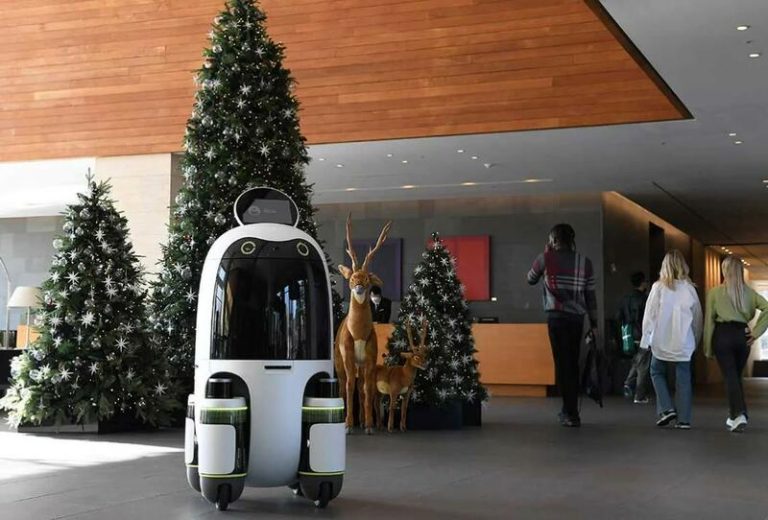 Hyundai prueba robots autónomos para la entrega de paquetes