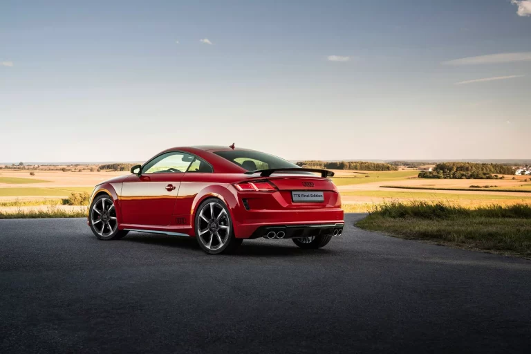 Audi TT Final Edition: broche de oro