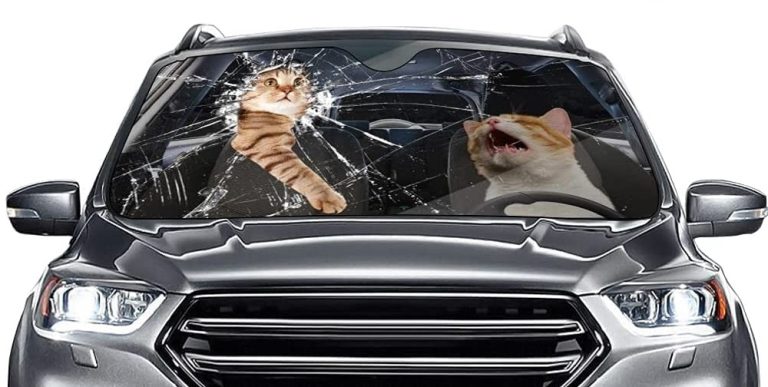 Prepara tu coche para el calor sofocante con estos parasoles de Amazon tan originales 