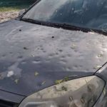Lever Touch: la empresa que reparó 48.000 coches dañados por pedrisco e inundaciones en 2025