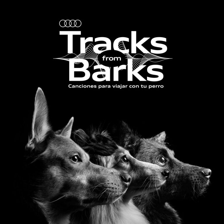 La marca que ha lanzado una playlist para que tu perro no se estrese en el coche