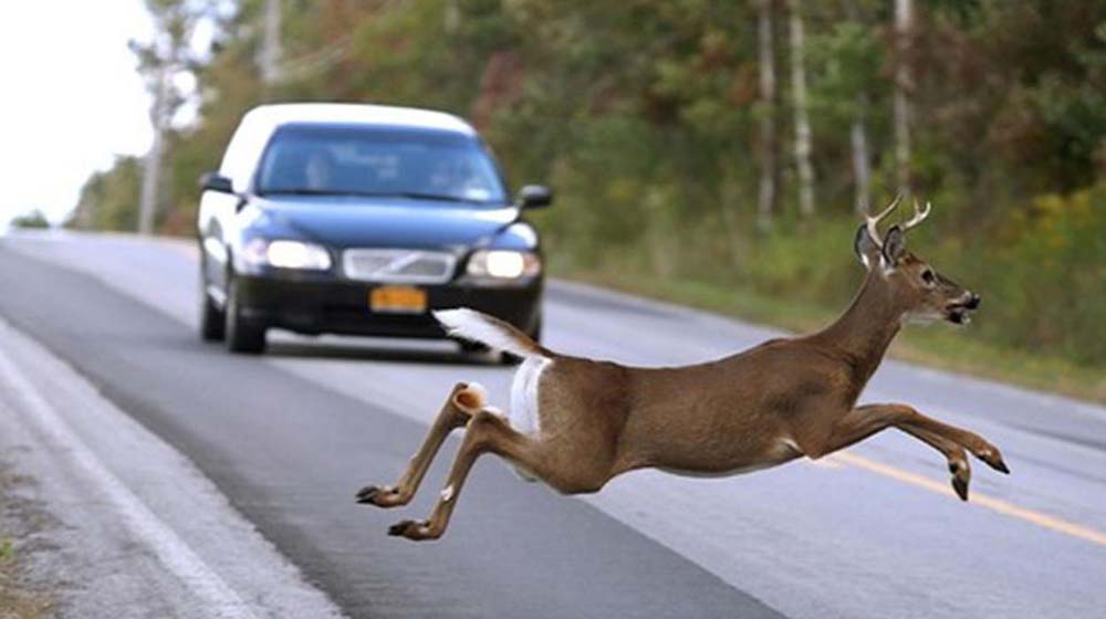 accidente