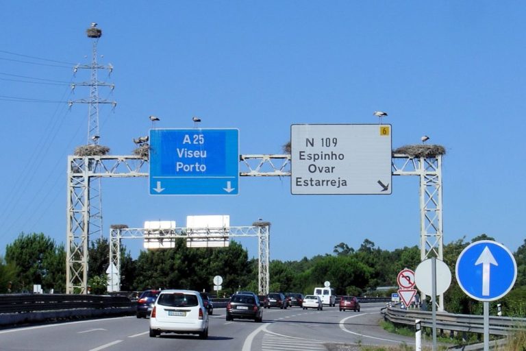 Si vas a viajar a Portugal, este detalle sobre sus carreteras de peaje te será de vital ayuda