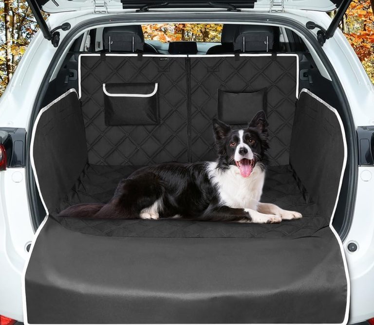 Si viajas con mascota estos accesorios de Amazon te van a encantar 
