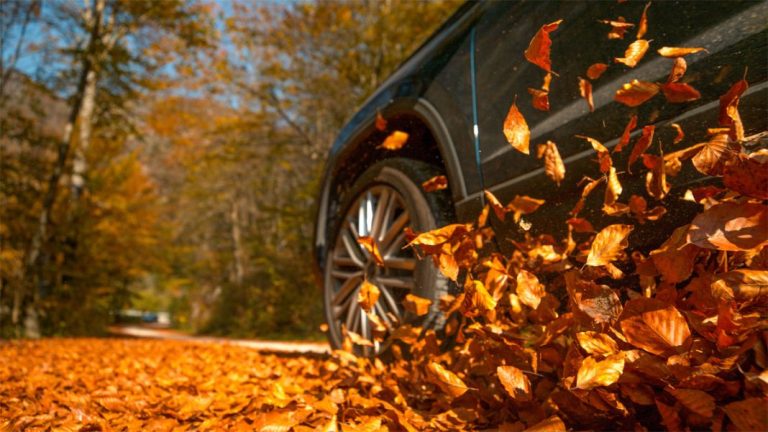 Neumáticos de verano o neumáticos de invierno. Estos son los ideales cuando llega el otoño