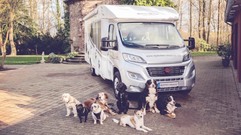 El motivo por el que propietarios de caravanas y camper respiran con la nueva ley de bienestar animal