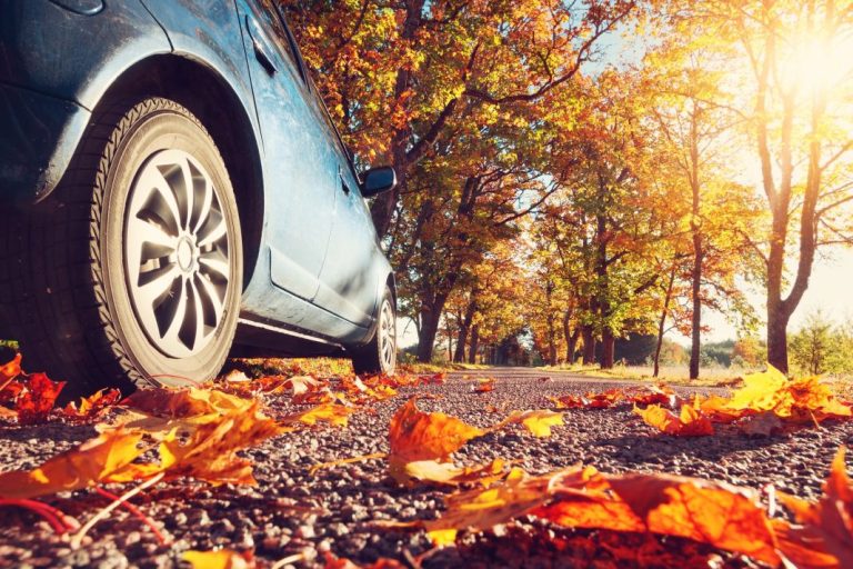 Los peligros de conducir en otoño
