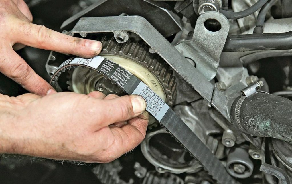 correa de distribución