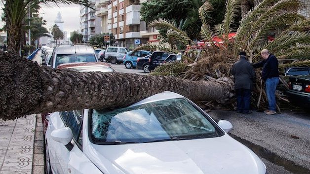 viento