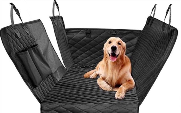 Amazon: productos esenciales para nuestras mascotas por menos de 20 euros