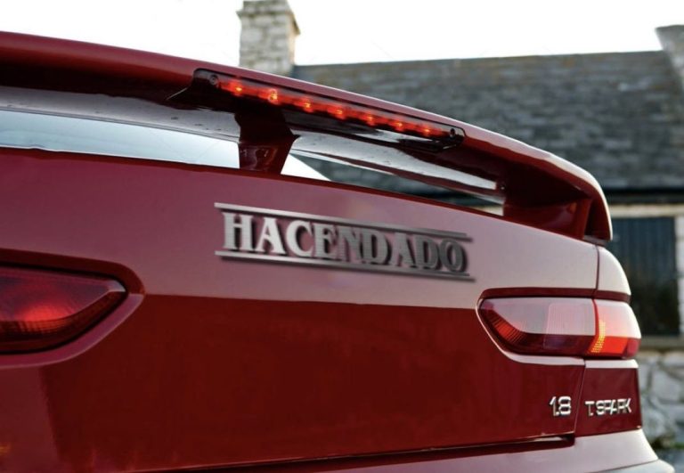 Los motivos por los que no hay coches de ‘marca blanca’